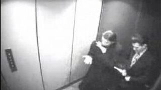Little blowjob in the elevator - porn video