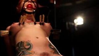 Dominant lez tt nt of hairy subject - porn video